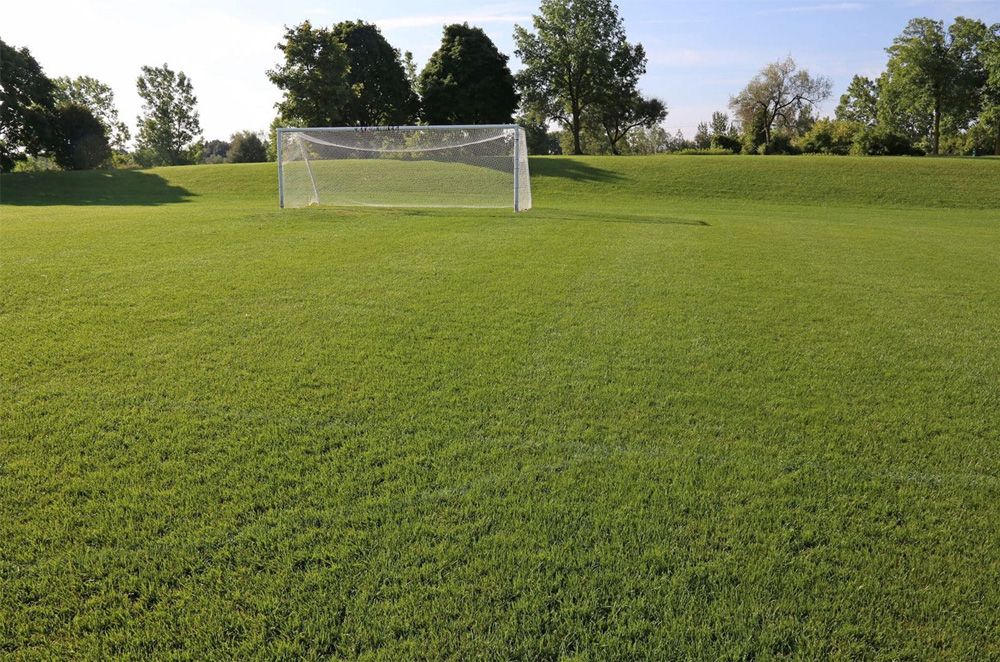 Frisch gemähter, gepflegter Fußballplatz mit Tor.